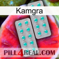 Kamgra 29